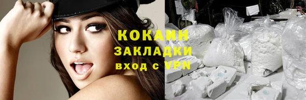 твердый Абаза