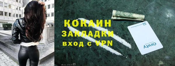 твердый Абаза