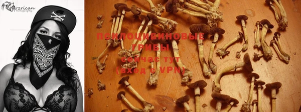 твердый Абаза