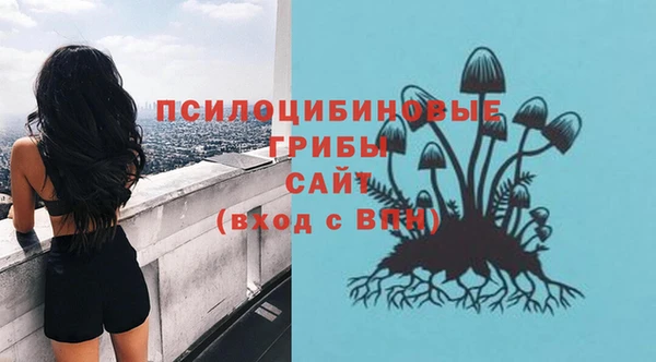 твердый Абаза